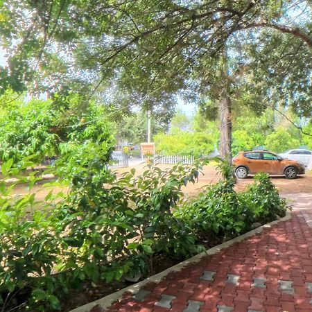 Secret Garden Hotel & Bungalows Çıralı Eksteriør billede