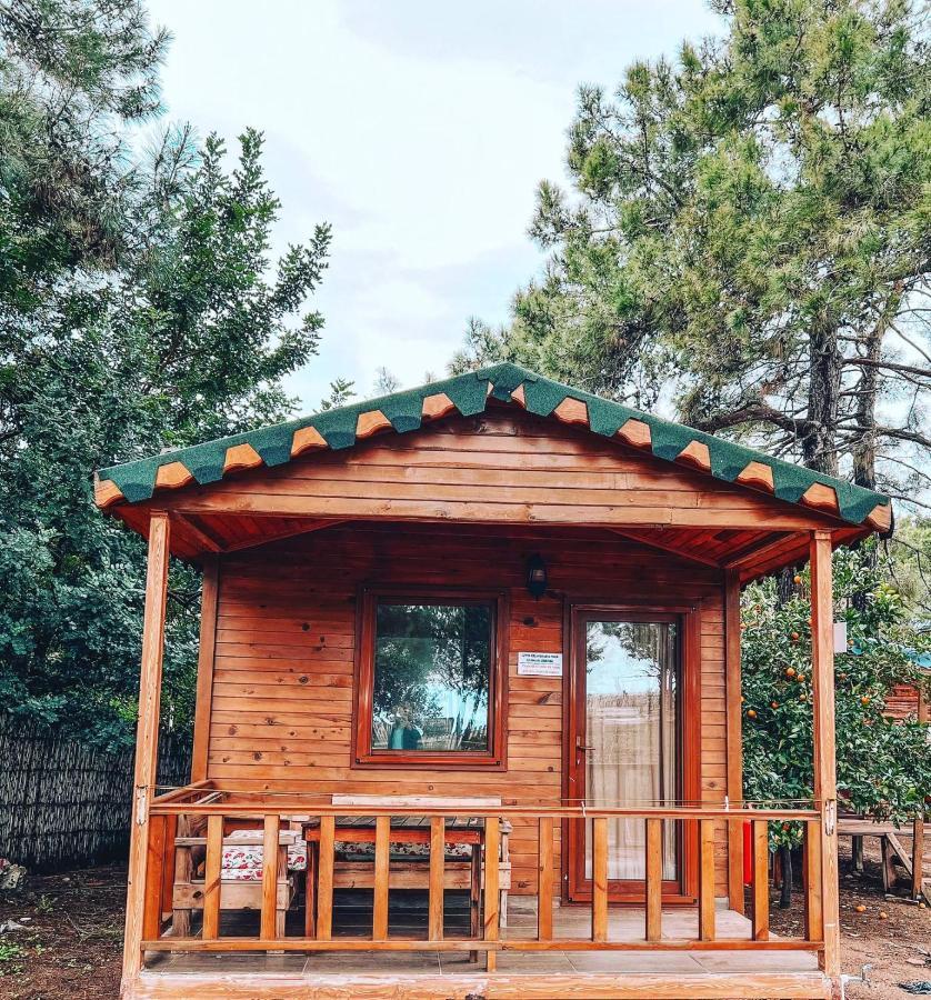 Secret Garden Hotel & Bungalows Çıralı Eksteriør billede