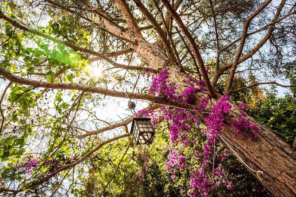 Secret Garden Hotel & Bungalows Çıralı Eksteriør billede