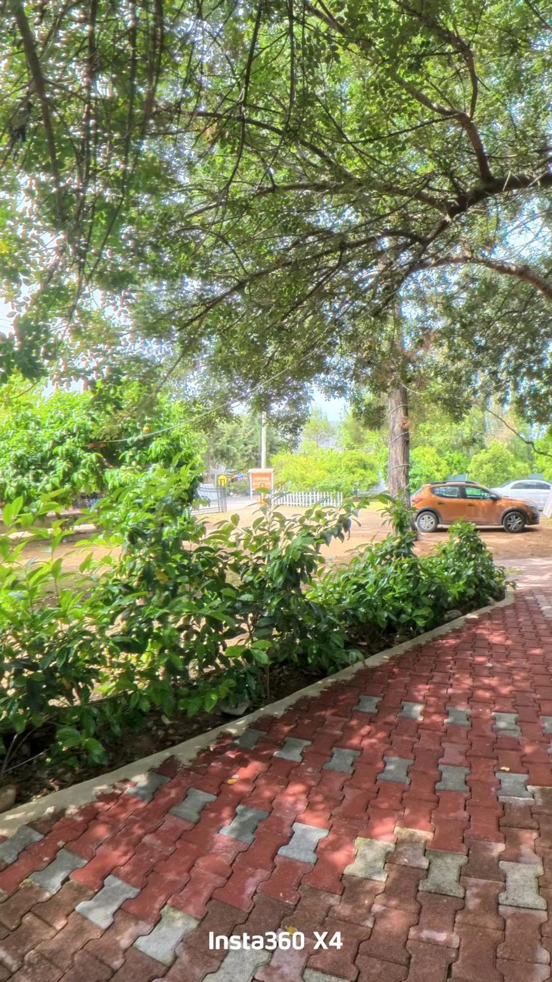 Secret Garden Hotel & Bungalows Çıralı Eksteriør billede