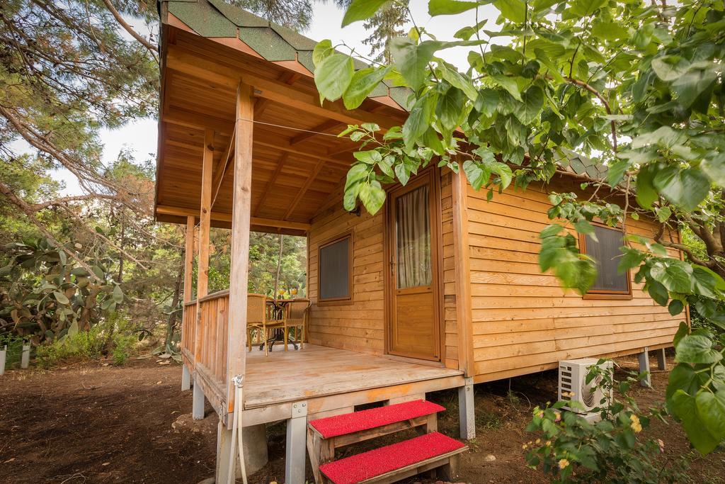 Secret Garden Hotel & Bungalows Çıralı Værelse billede