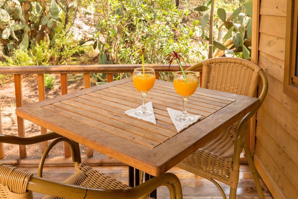 Secret Garden Hotel & Bungalows Çıralı Eksteriør billede