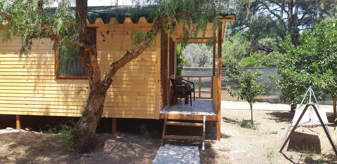 Secret Garden Hotel & Bungalows Çıralı Eksteriør billede